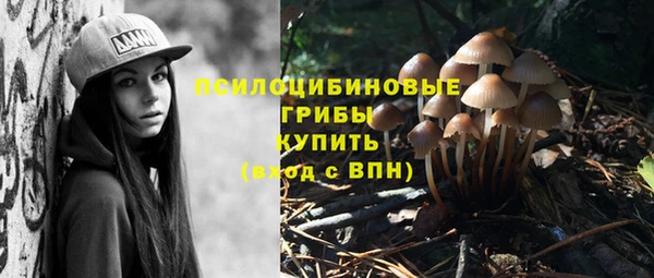 МДМА Карпинск