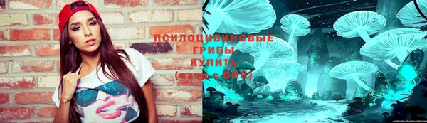 spice Касимов