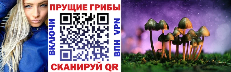 Галлюциногенные грибы MAGIC MUSHROOMS  Купить где  Ревда 